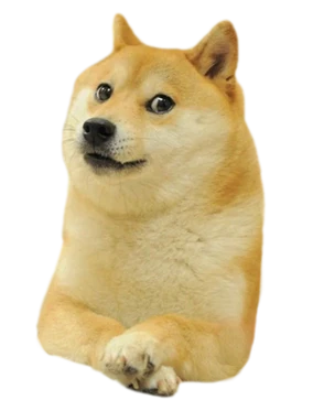 Doge