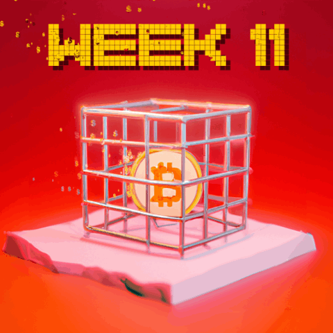 CryptoDad Week 11 icon
