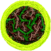 Bramble
