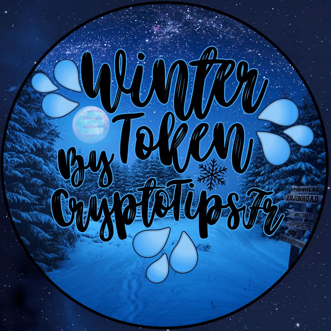 Winter Token by Cryptotipsfr