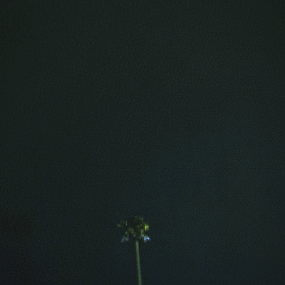Re-Growth