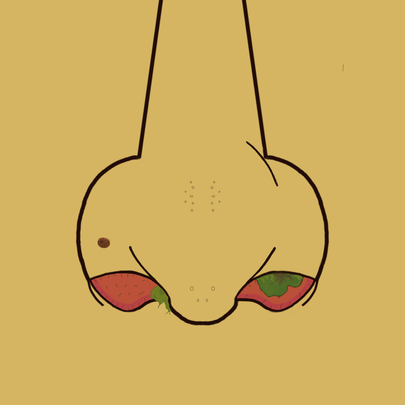 Moco Loco 7 NFT on Algorand