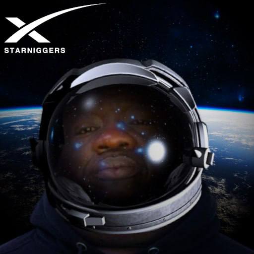 StarNig token logo