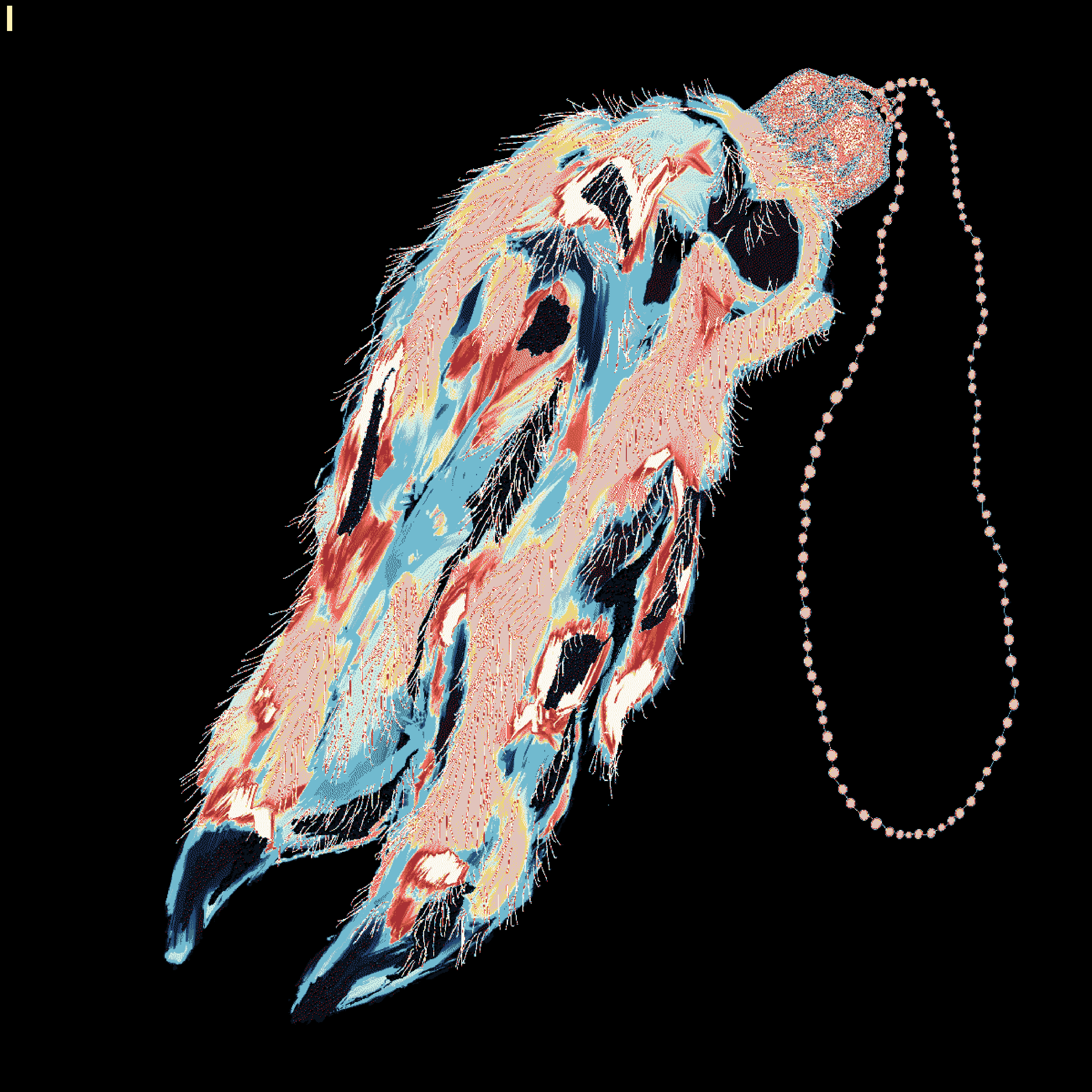LUCKY PIG FOOT #2