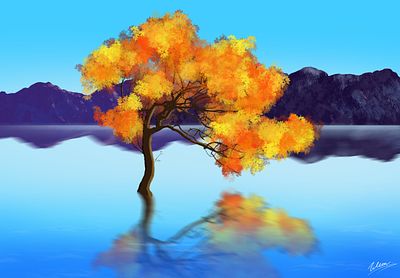Eternal Reflections