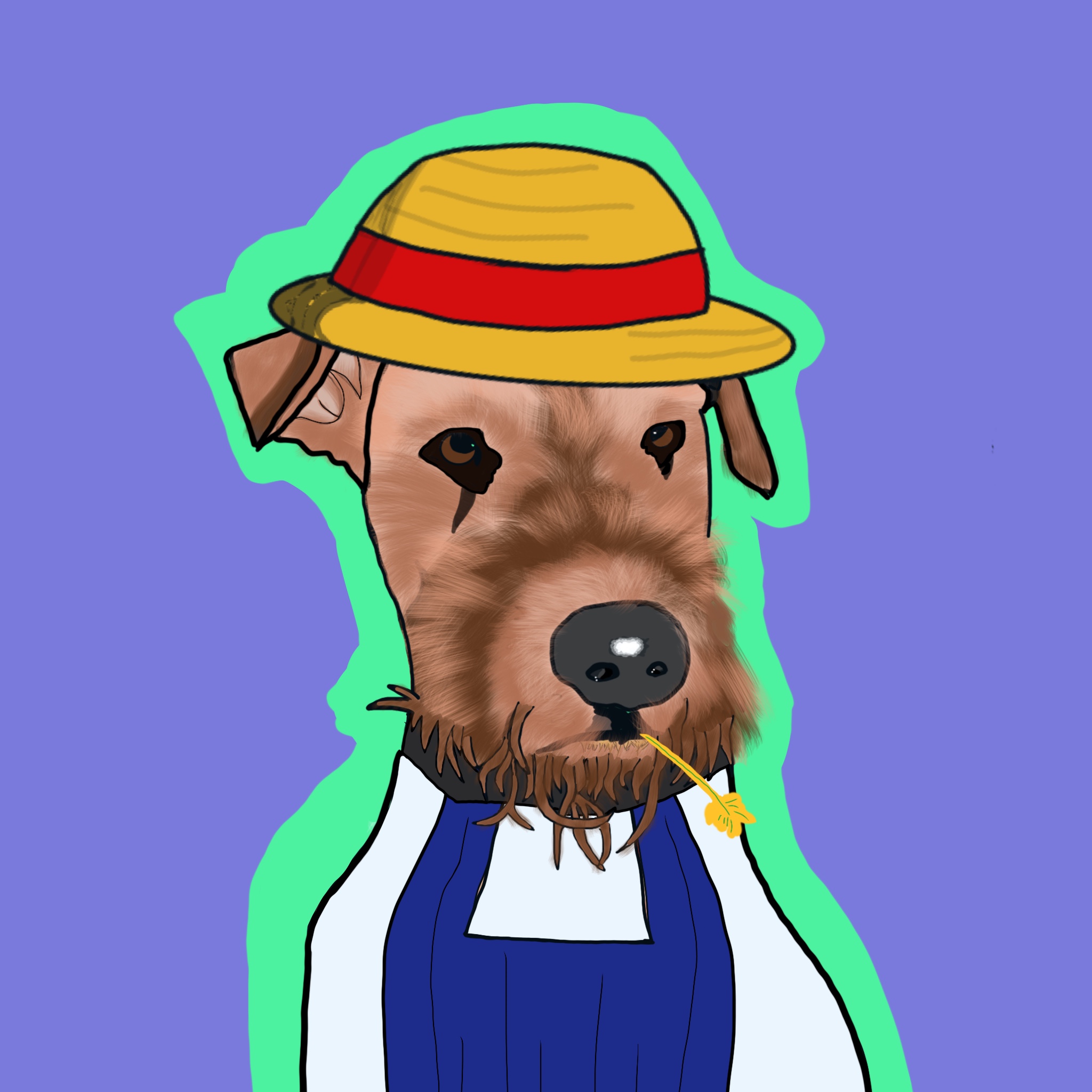 AiredALGO#4 NFT on Algorand