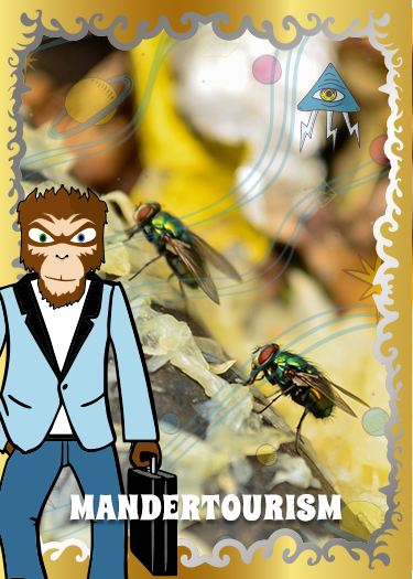 ManderFlyTourism
