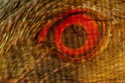 Four: Hurting Eye
