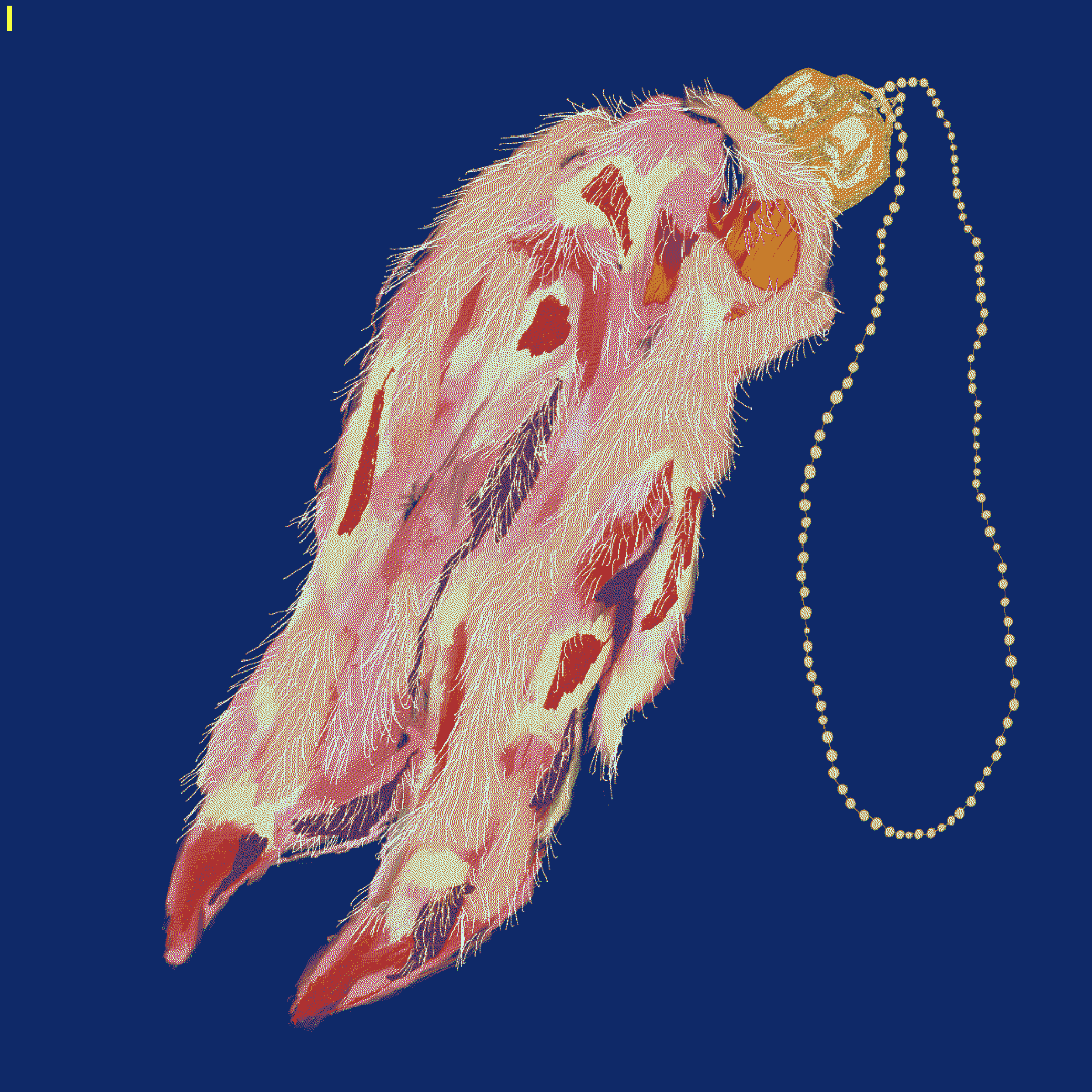 LUCKY PIG FOOT #10
