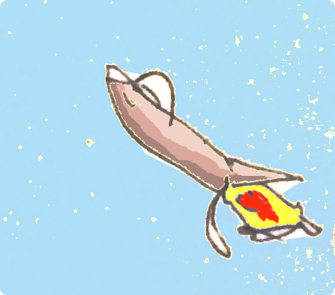 Cryptown - A rocket on the fly!