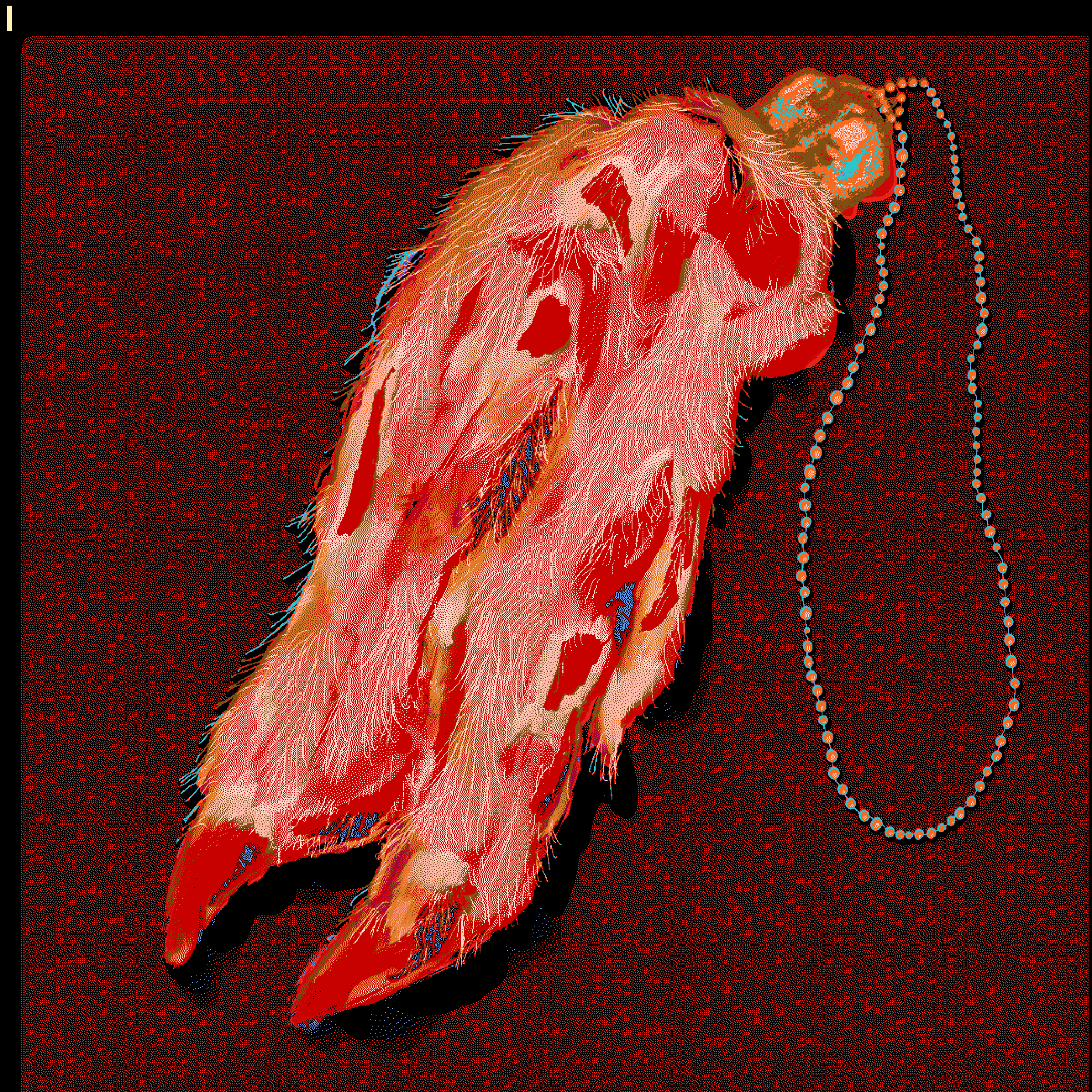 LUCKY PIG FOOT #4