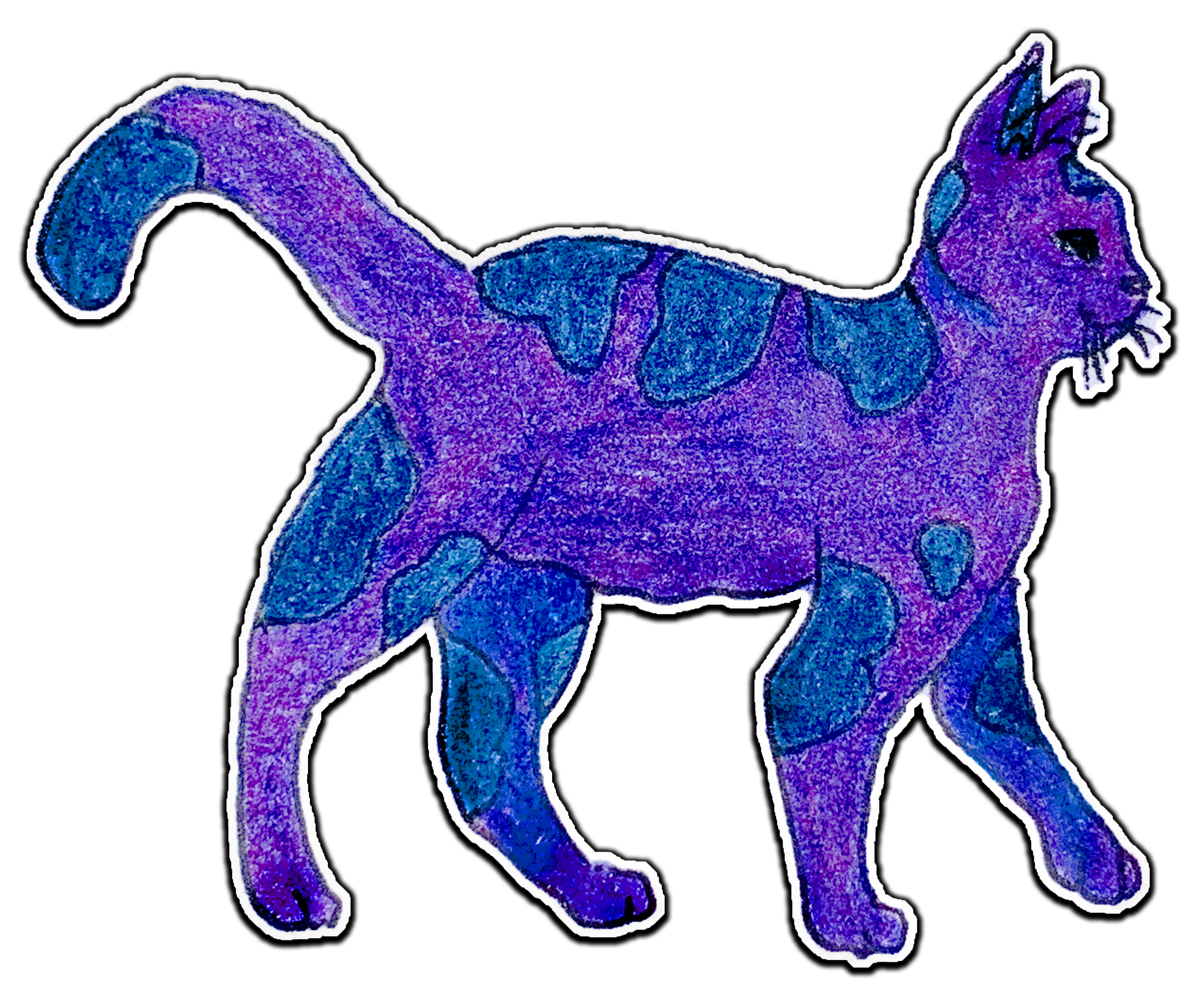 Indigo Cat