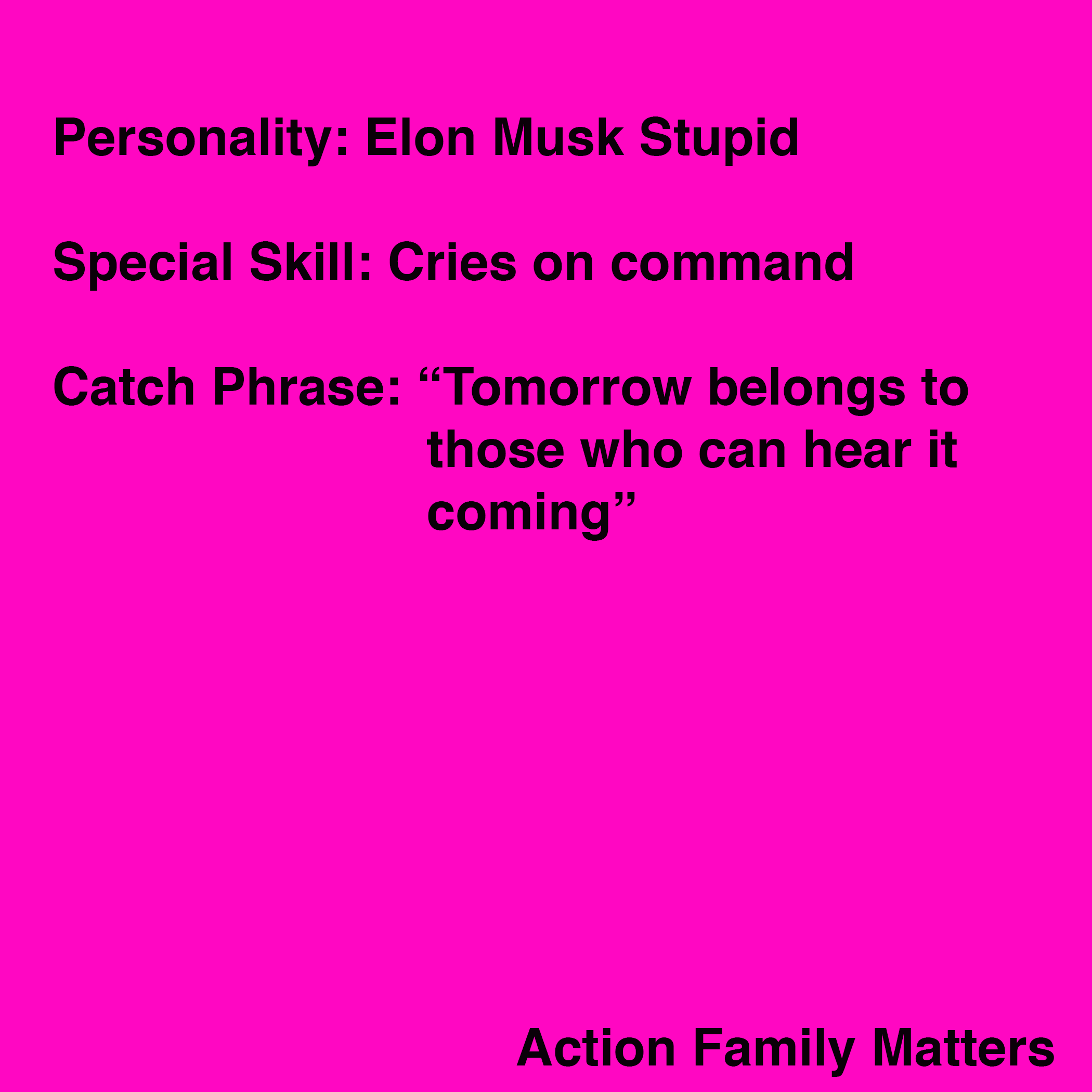 Elon Musk Stupid
