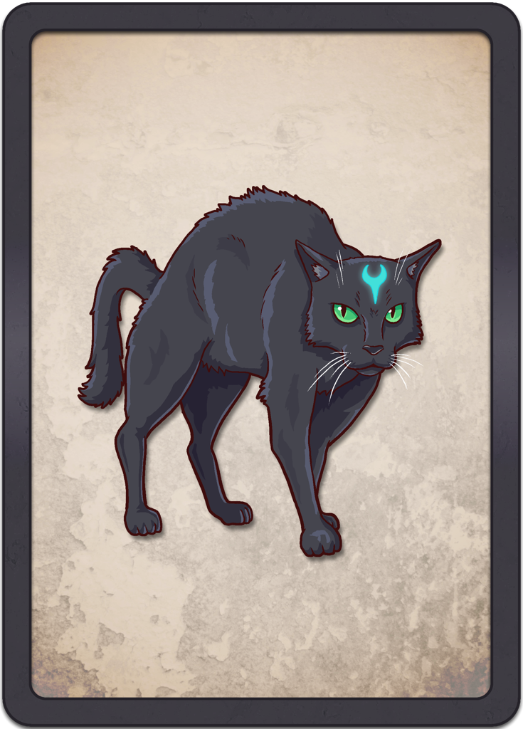 Black Magic Cat