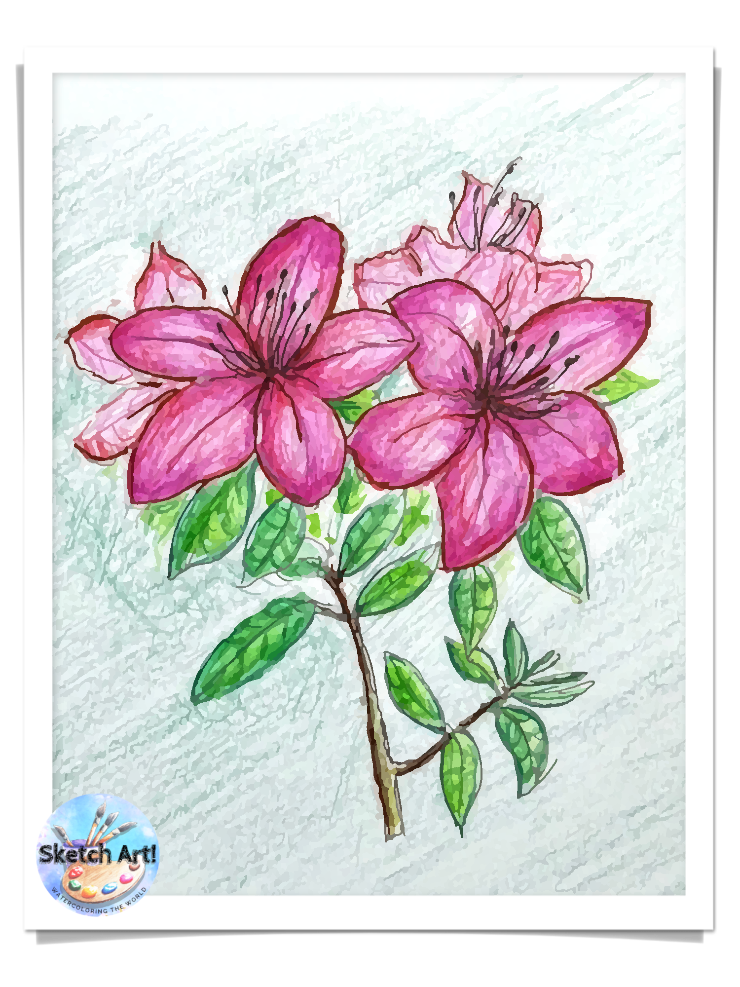 Azalea