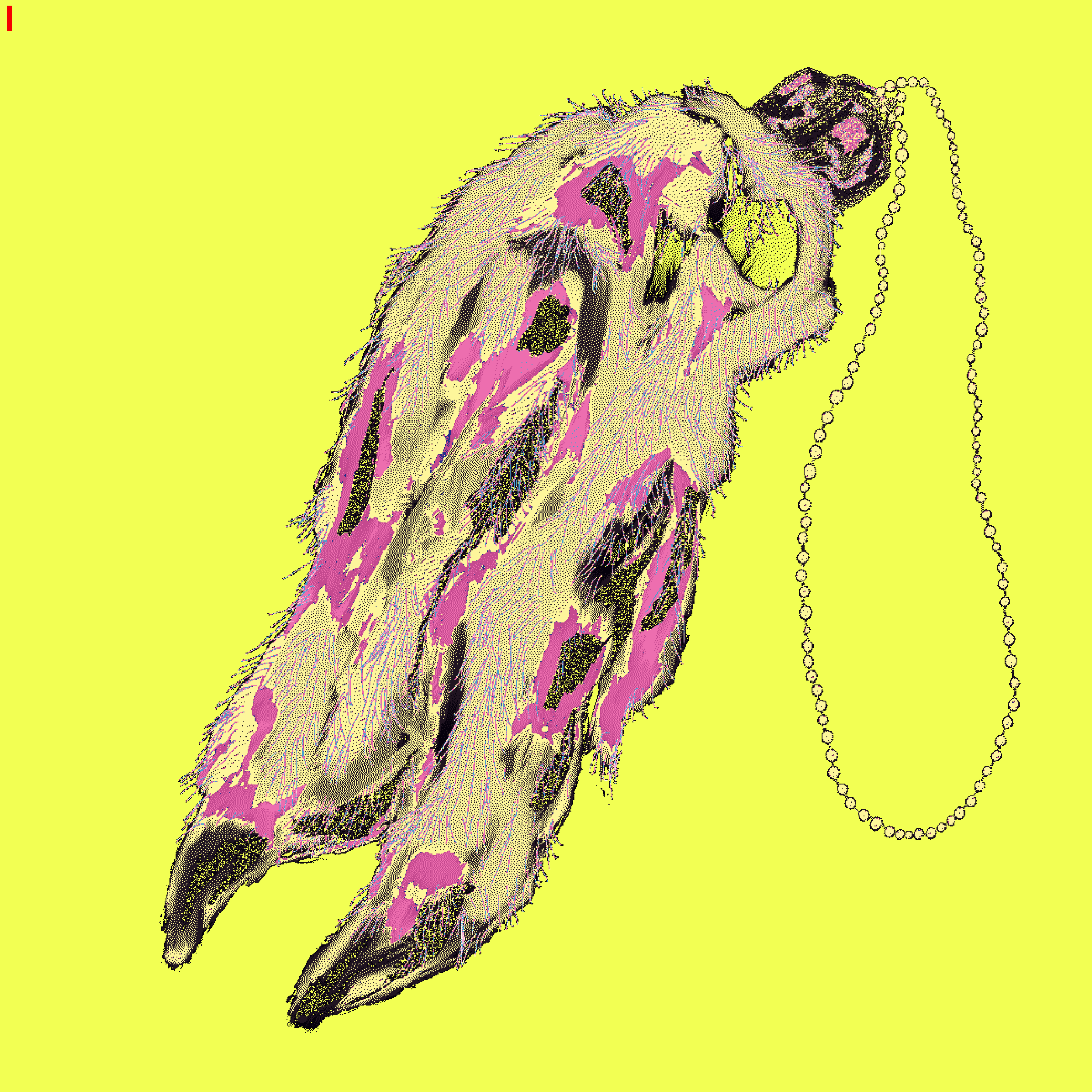 LUCKY PIG FOOT #6