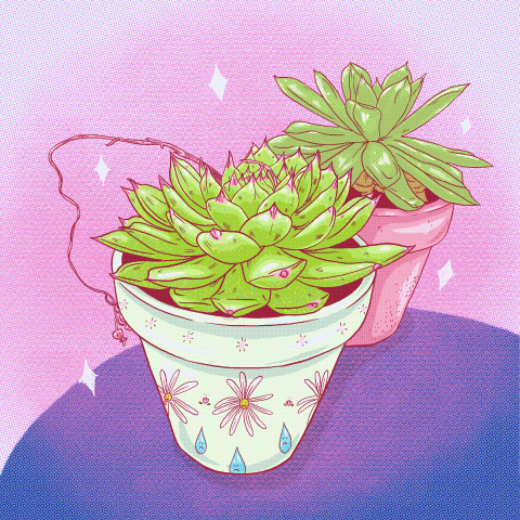 Photosynthesis