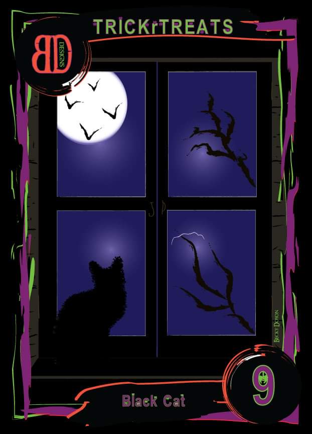 Black cat