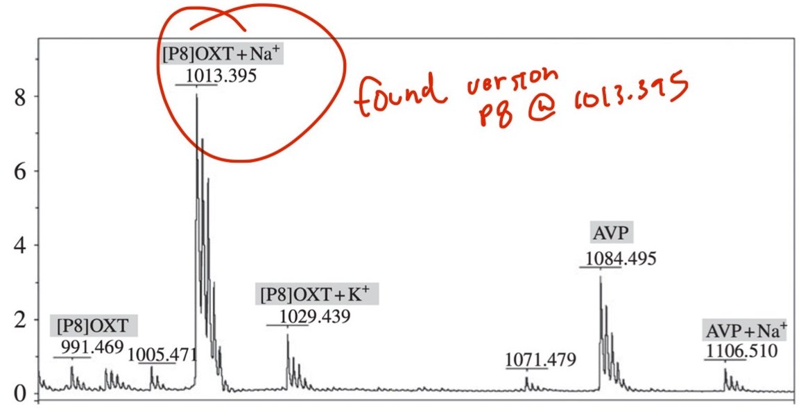 lab2 NFT on Algorand