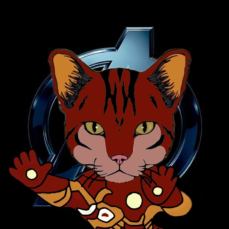 cat #35 NFT on Algorand