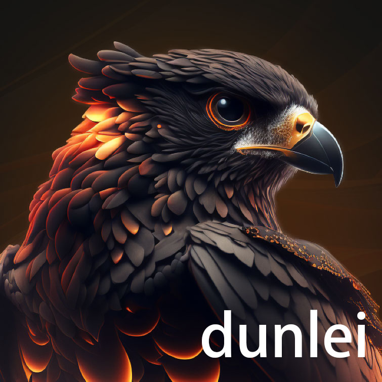 dunlei.eth Ethereum Name Service (ENS and .eth domain) PFP