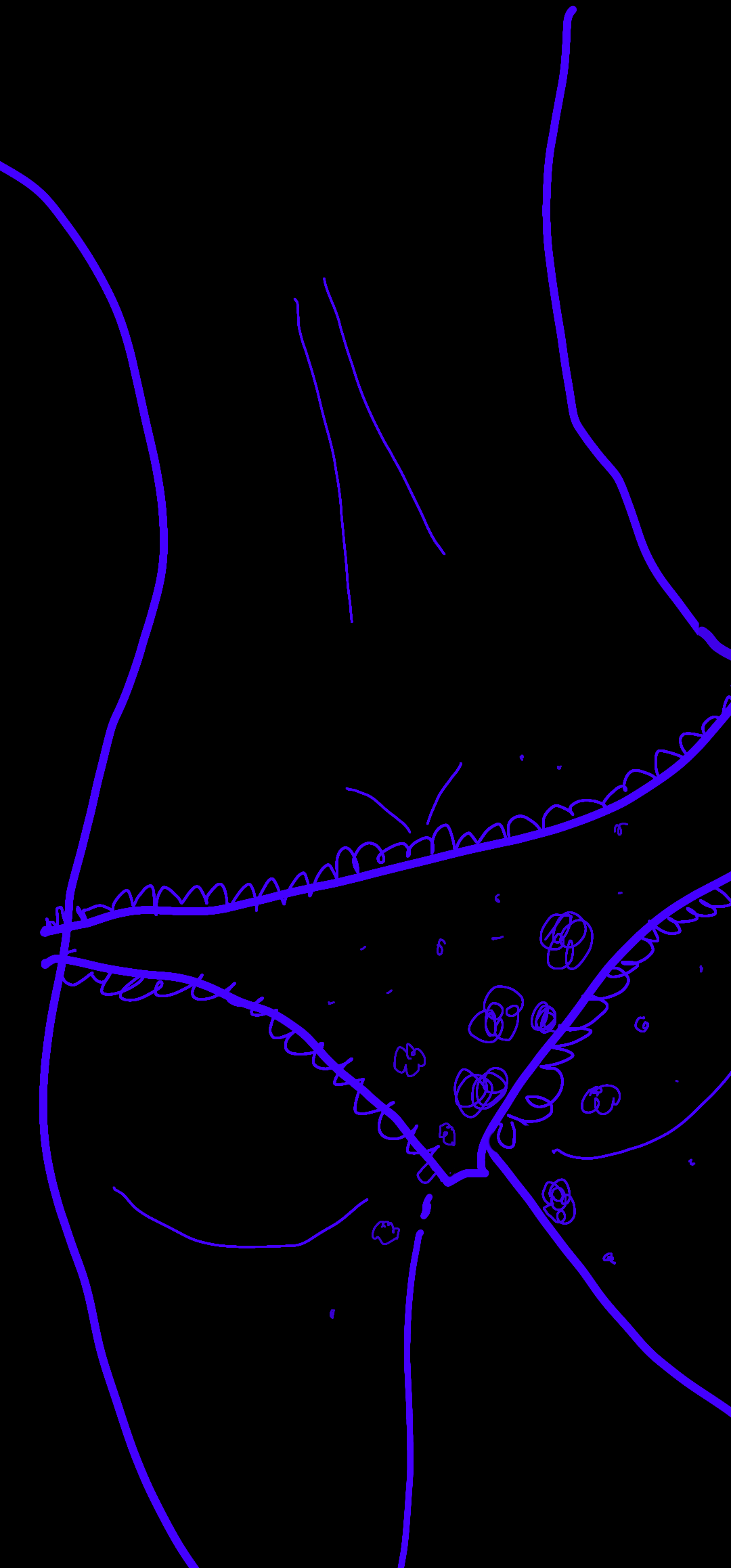 Shitty Knickers NFT artwork