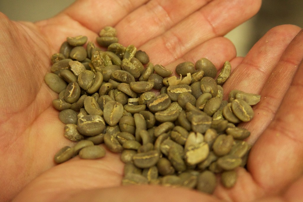 Melbourne Coffee Seed Green Coffee Sample Set