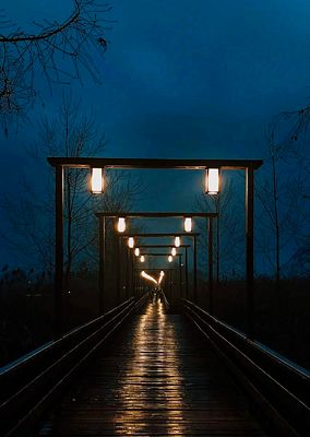 Silent Night Walkway