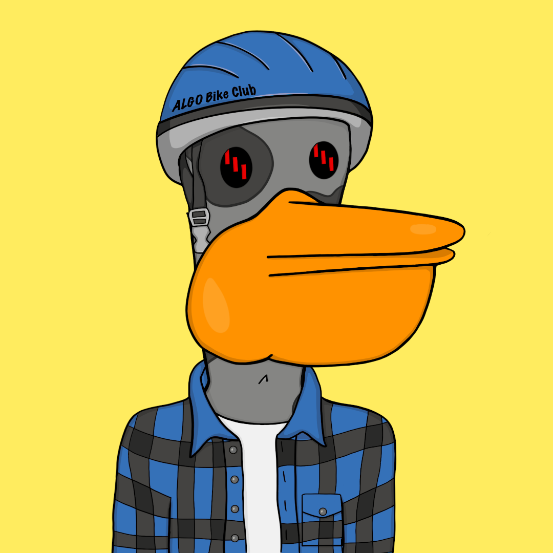 BERD145 NFT on Algorand