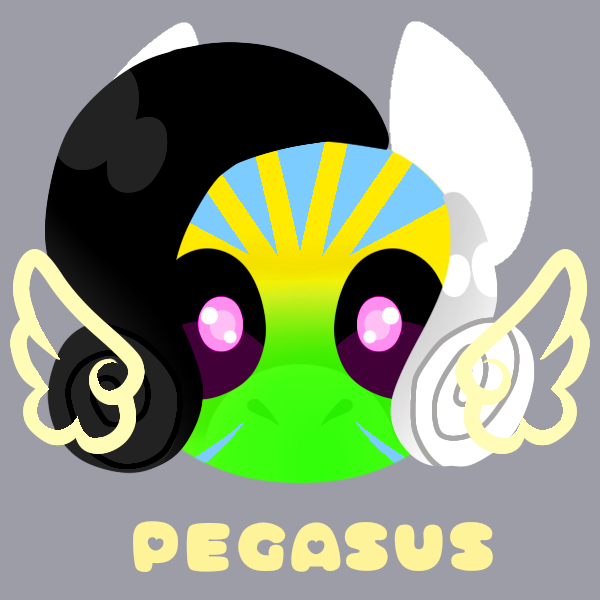 Pony IDEA