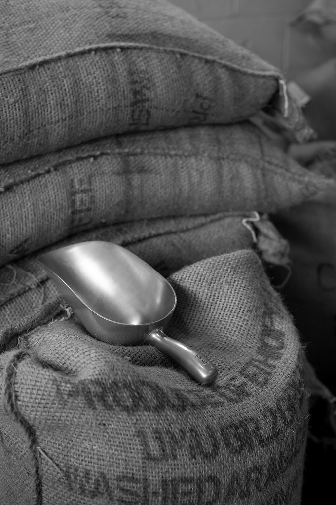 Melbourne Coffee Seed Reserve Arabica Whole Bean Lot
