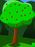 Apple Tree