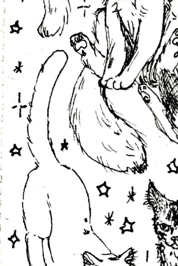 Cat Shard #4