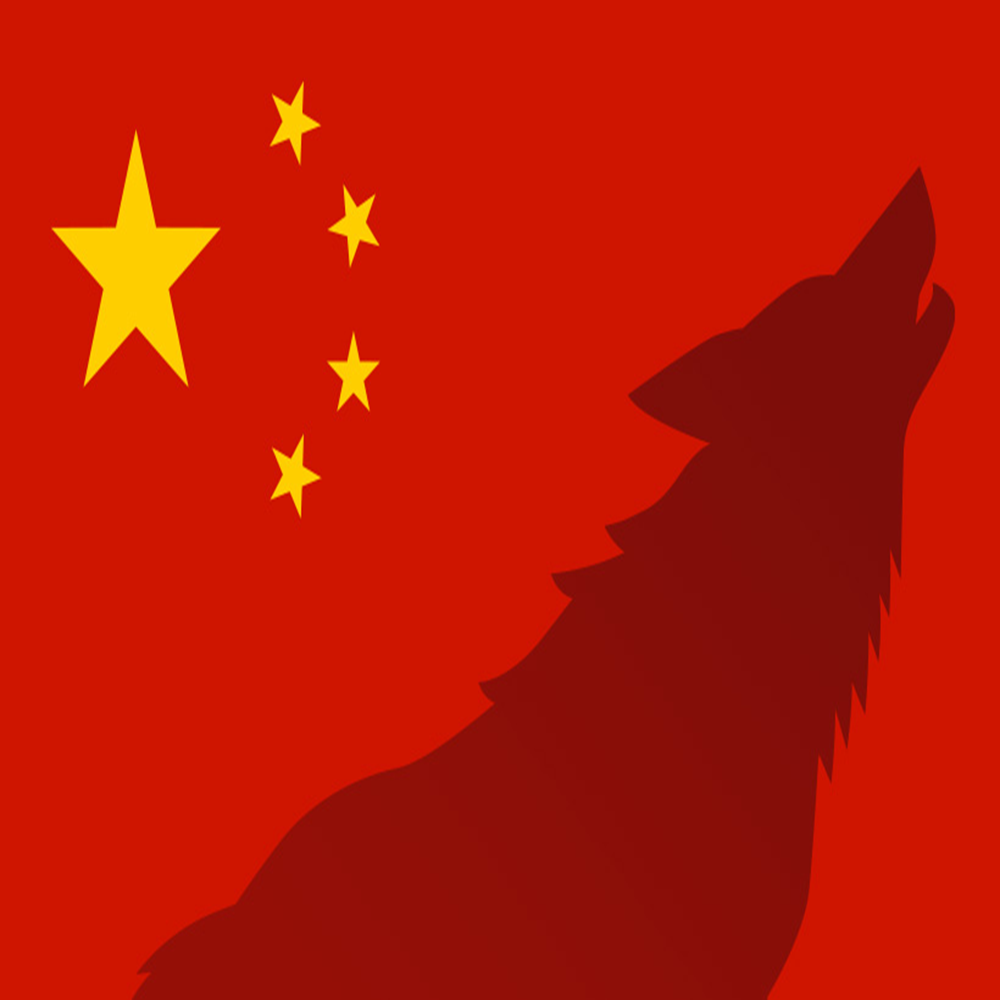 wolfofchina.eth Ethereum Name Service (ENS and .eth domain) PFP