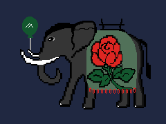 ElephantAlgo #85 NFT on Algorand