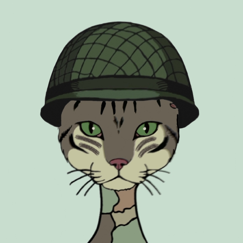 Cat #11 NFT on Algorand