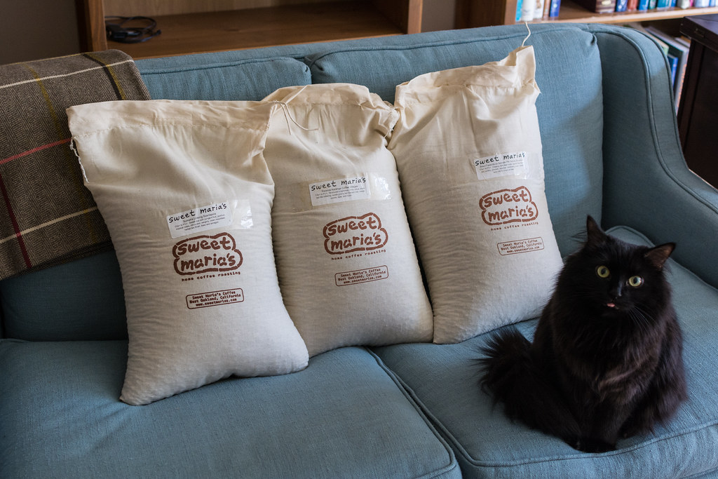 Singapore Coffee Seed Reserve Arabica Whole Bean Lot