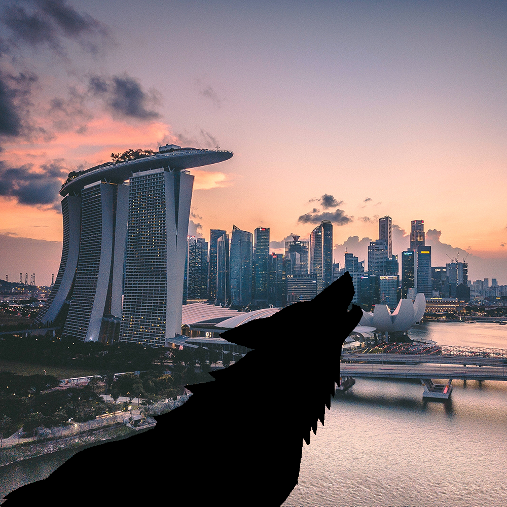 wolfofsingapore.eth Ethereum Name Service (ENS and .eth domain) PFP