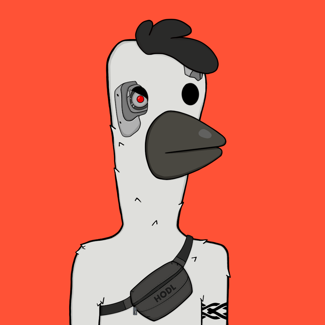 BERD165 NFT on Algorand