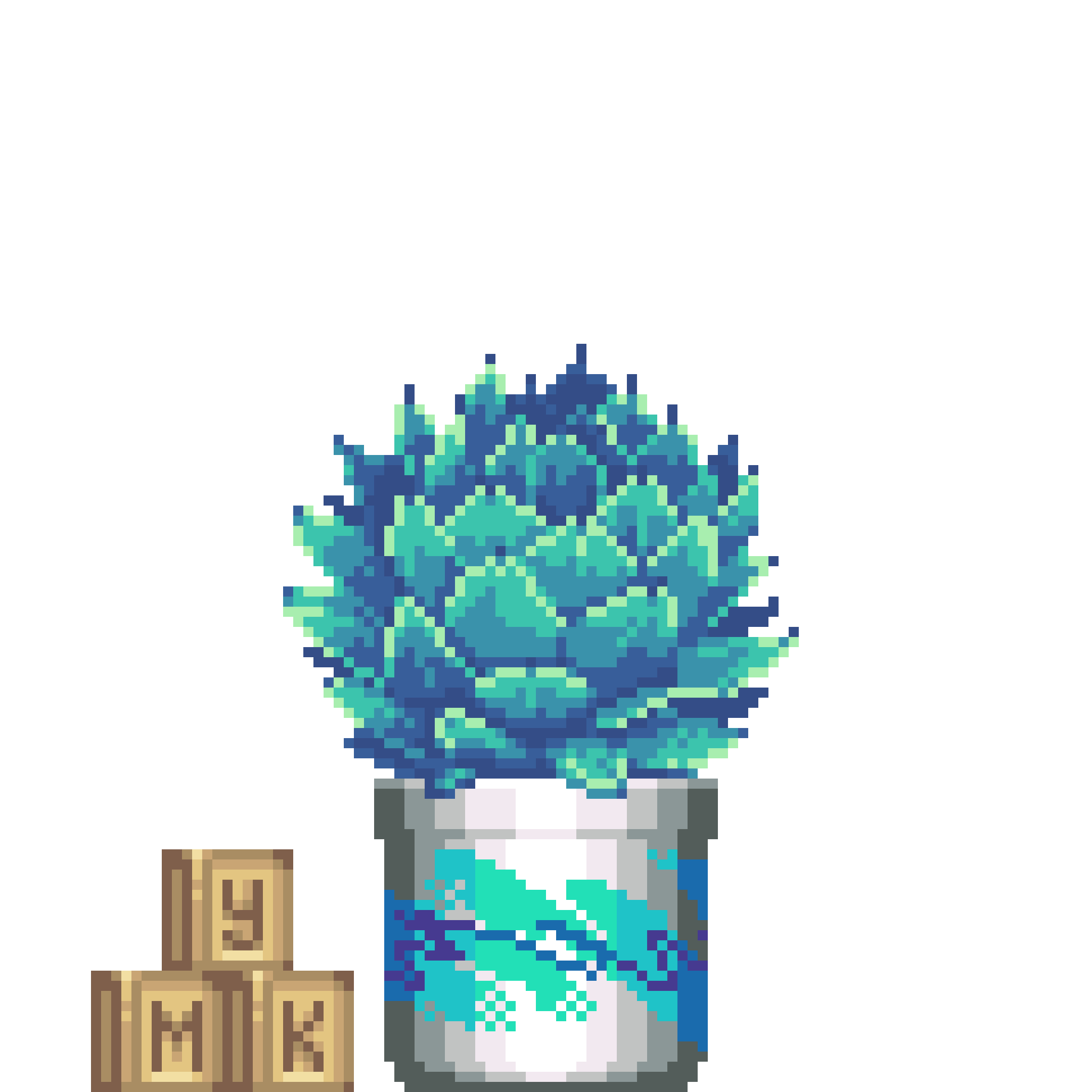 Artichoke Agave in Large Jazz pot with Toy Cubes