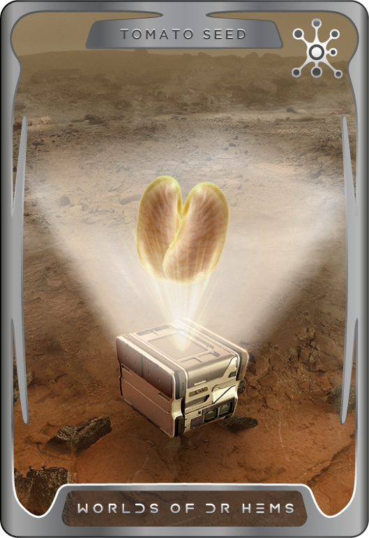 Tomato Seed