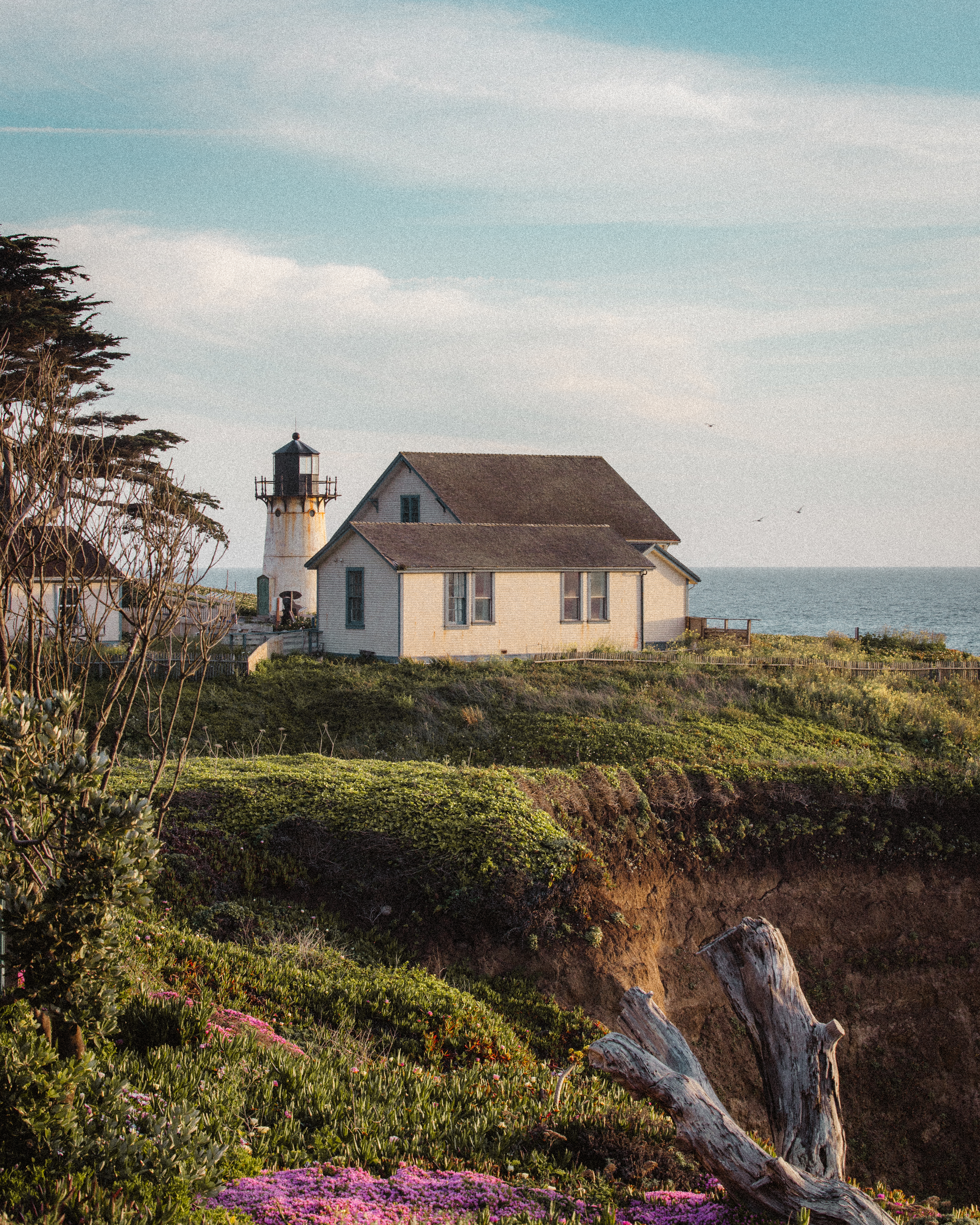 Montara