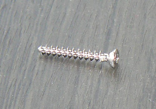 Rotterdam Metal Seed Stainless Fastener Box