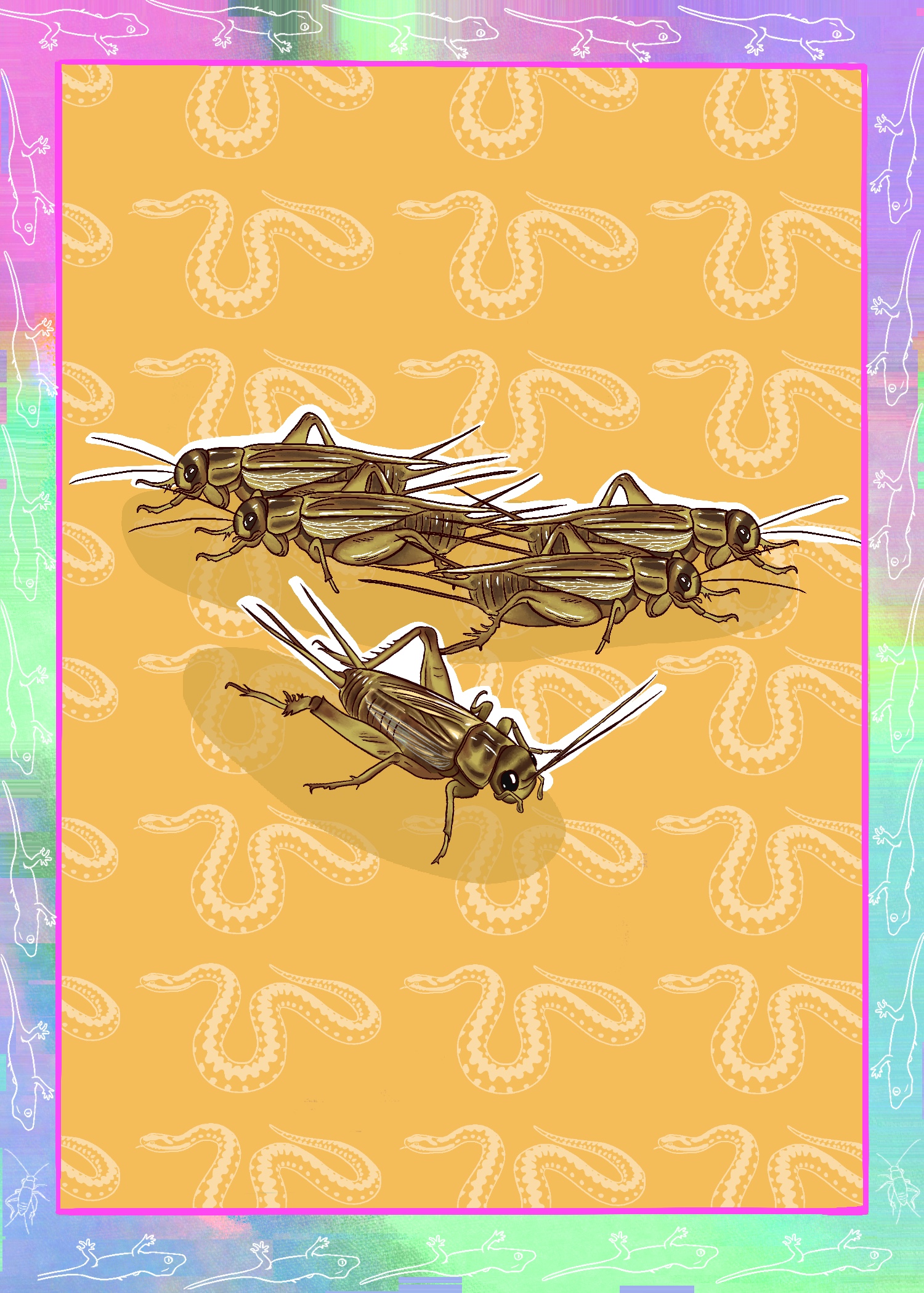 5 Crickets