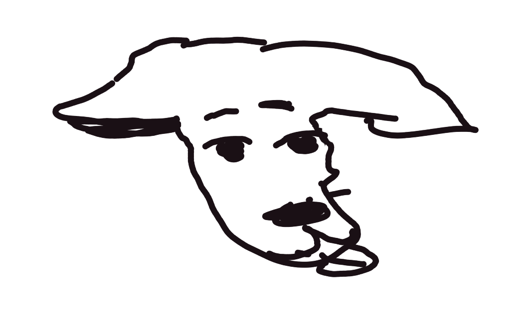 Rare Doggo Rug #1712