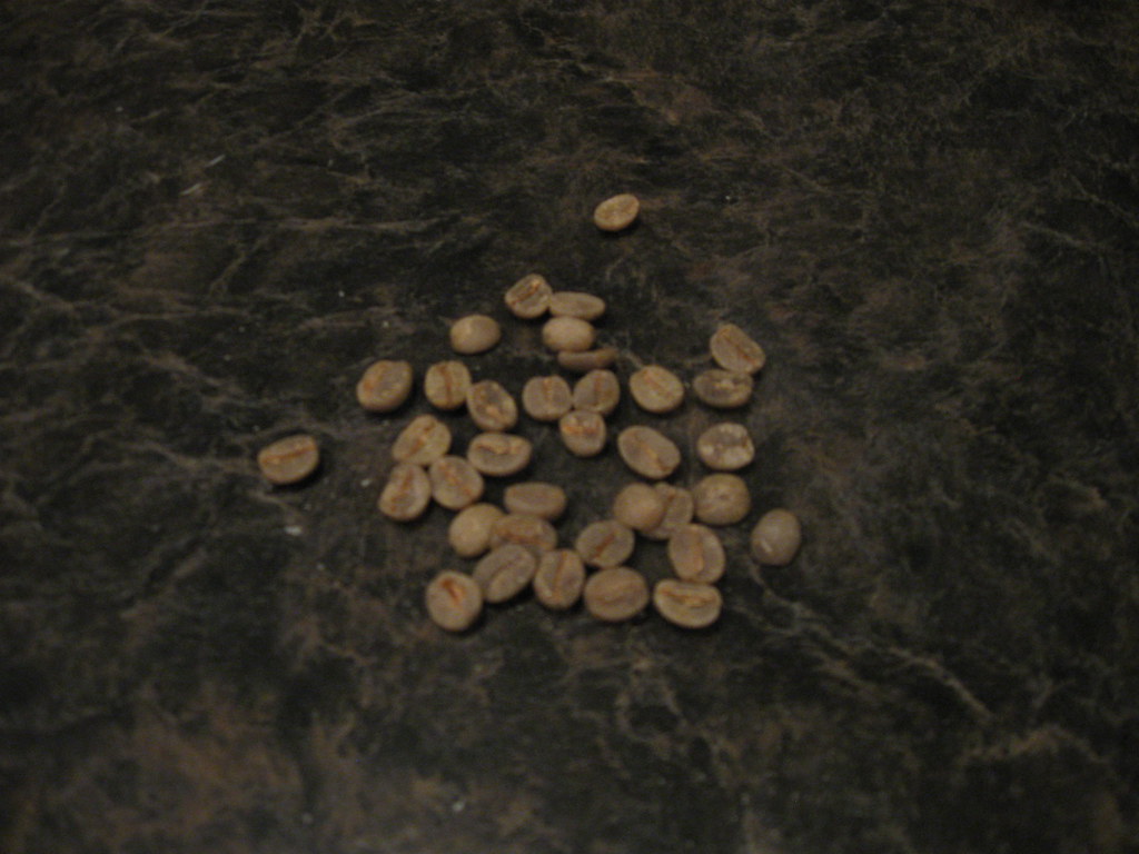 Saigon Coffee Seed Green Coffee Sample Set