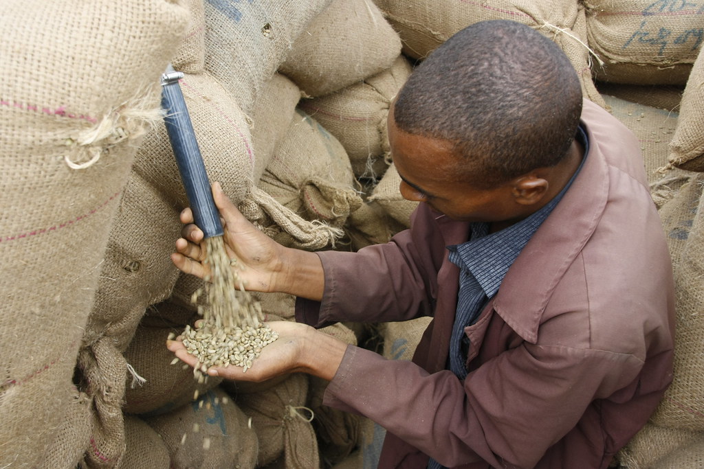 Nairobi Coffee Seed Reserve Arabica Whole Bean Lot