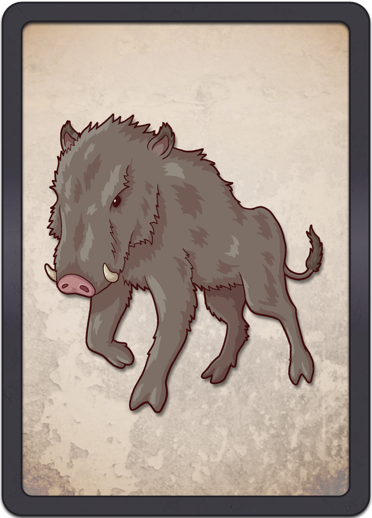 Boar