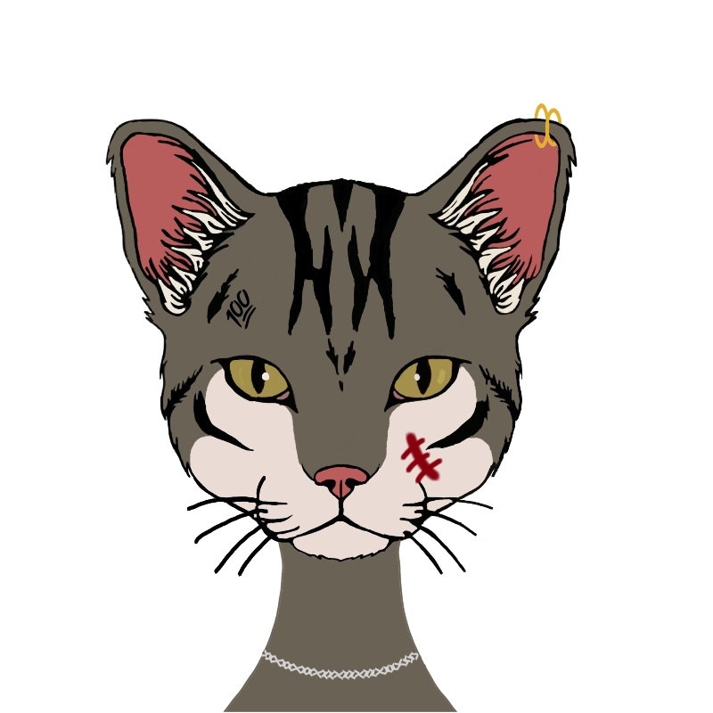 Cat #2 NFT on Algorand