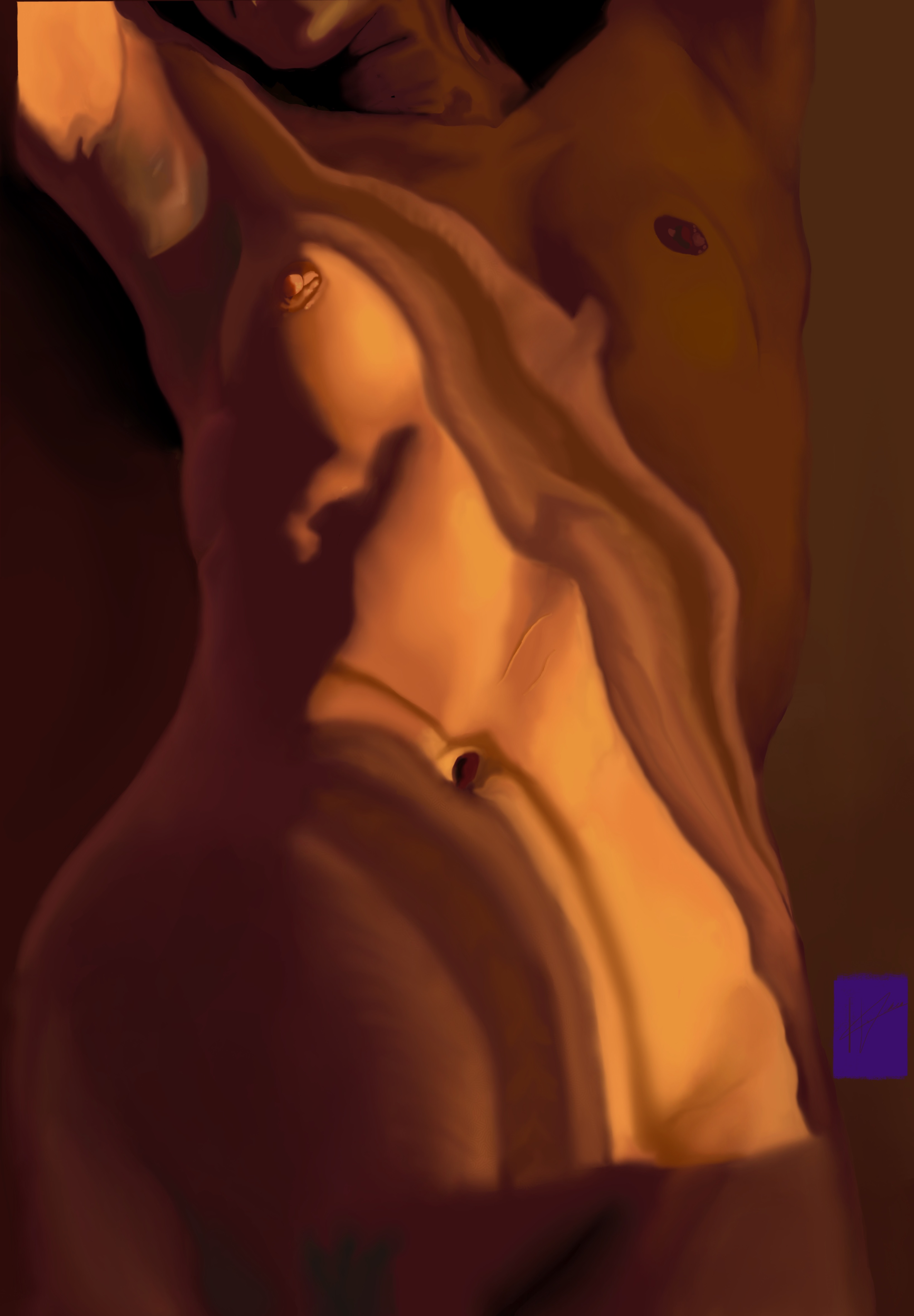 Through the veil NFT on Algorand